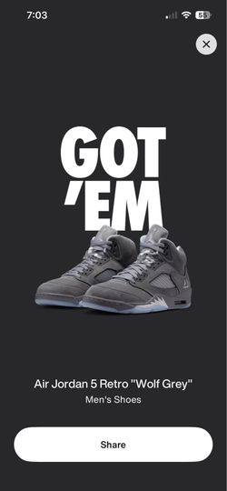 Air Jordan 5 Retro Wolf Grey Men's Shoes