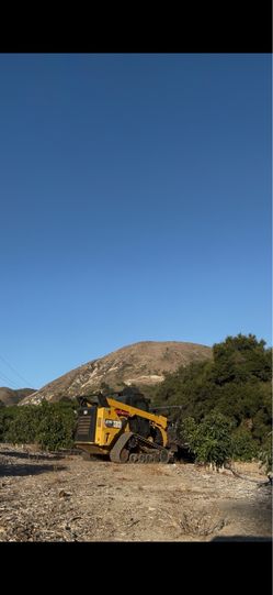 Tree mulcher