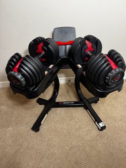 Bowflex SelectTech 552 Dumbbells 💪