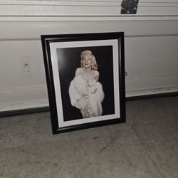 Decorationpick Up In Hillsboro