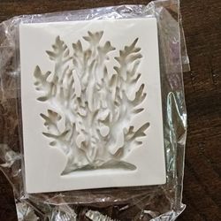 Seaweed Mold
