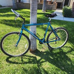 Cannondale 19" M400 Mountain Bike