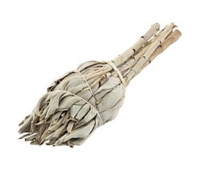 Mini Sage