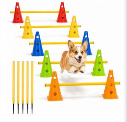 Dog Agility