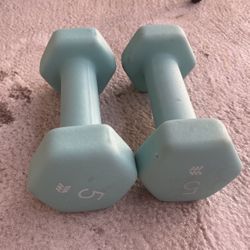 5 lb Weights