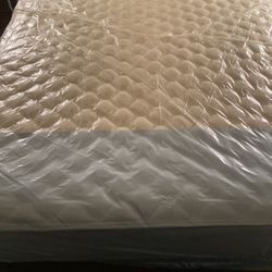 Mattress And Box Spring