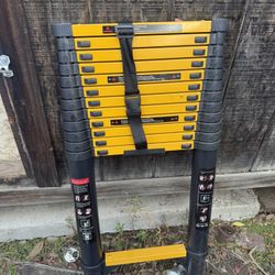 Telescope Ladder 16 Foot