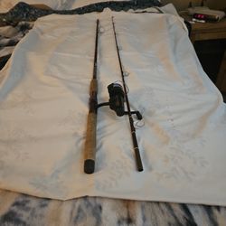 Fishing Vintage Fenwick Rod Combo 