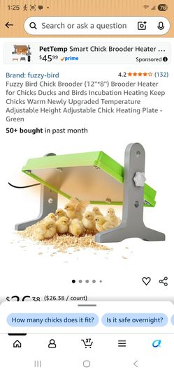 Chicken Brooder  12x8"