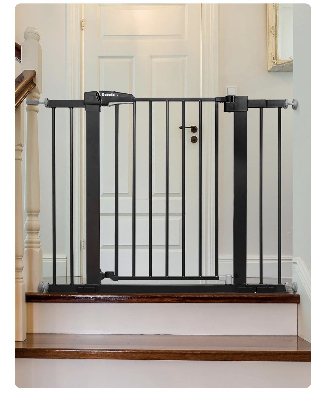 Baby Gate
