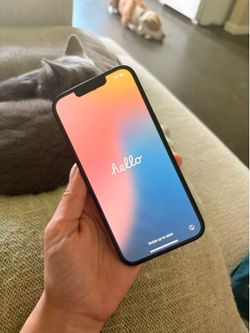 iPhone 13