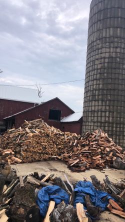 Firewood