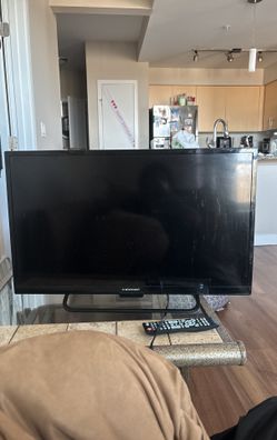 32 Inch Element Tv With Remote