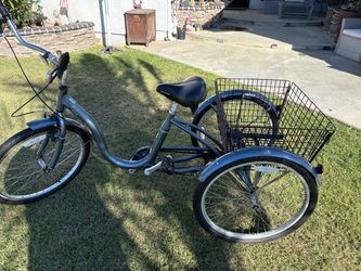3 wheeler schwinn