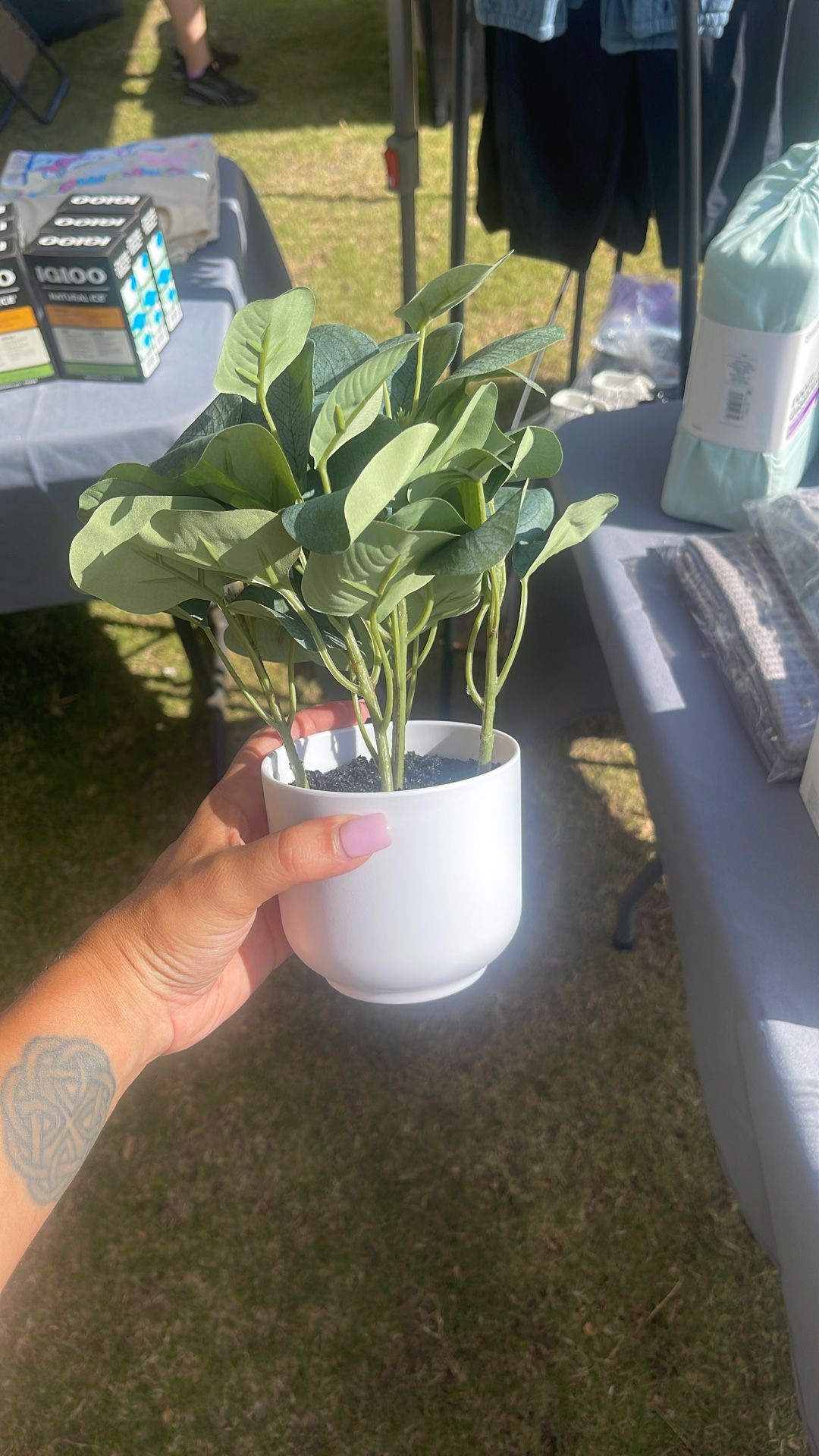 Fake Plant