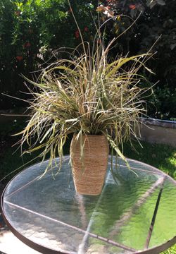 Artificial Grass in rope wrapped pot