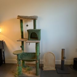Free Cat Tree And Scratcher