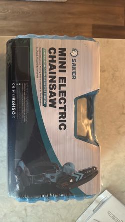 Electric chainsaw