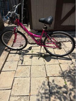 Nice used Diamond back $45