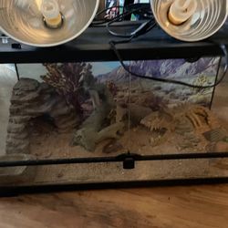 Reptile Lizard Tank, Open And Closable Glass Door