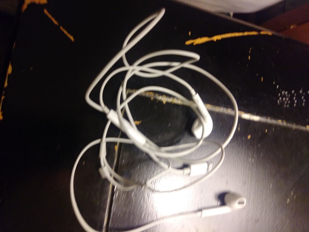 Apple headphones working tested