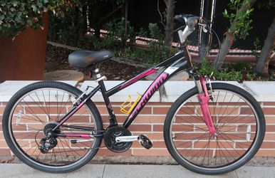 Schwinn Bicycle