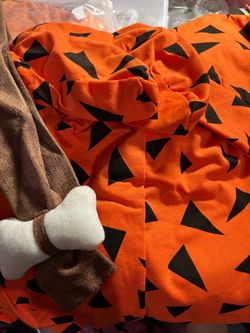 Bam Bam Boys Costume Tag states 2 to 3 years
