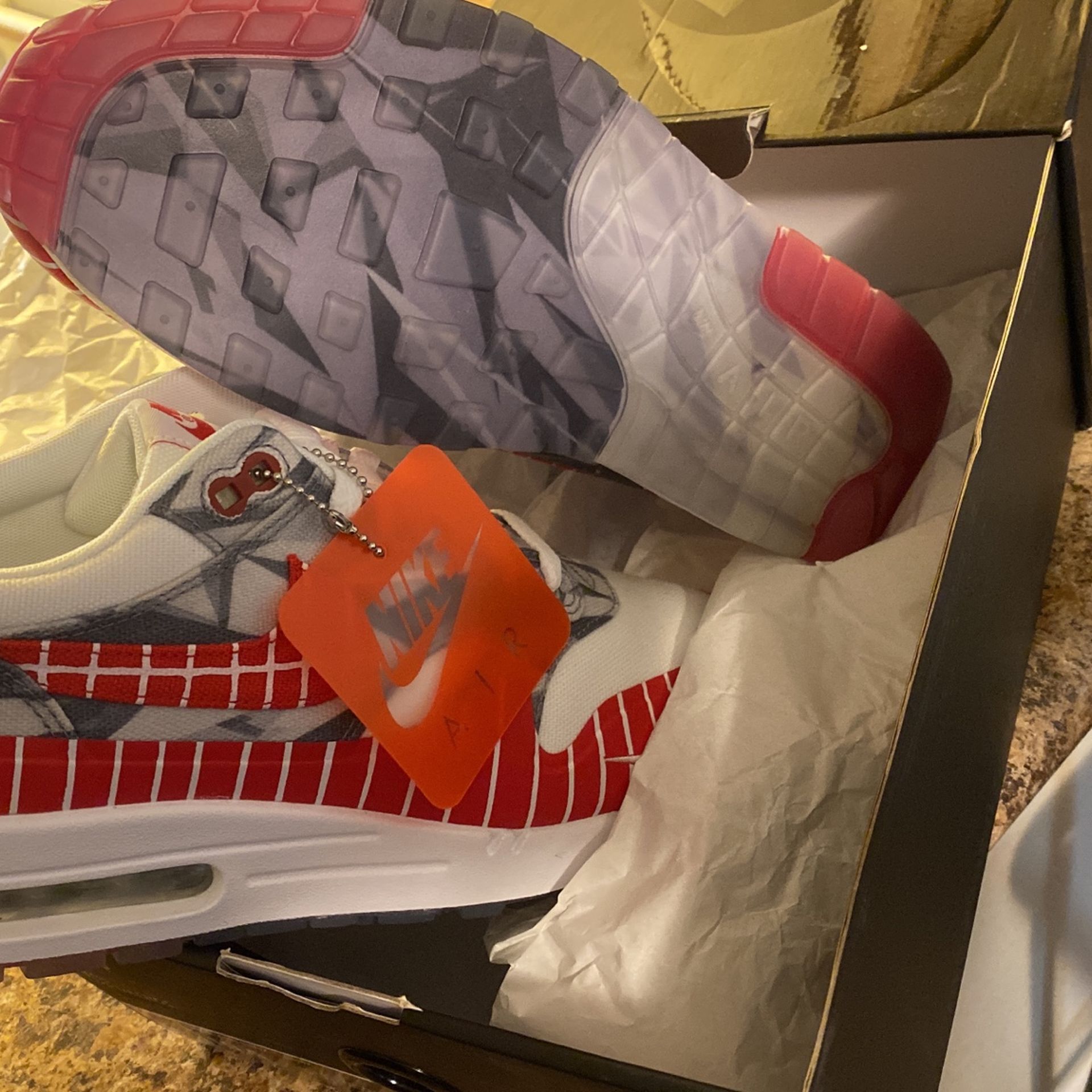 Air max 1's WasaFu DS