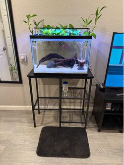 20gallon fish tank and stand and light