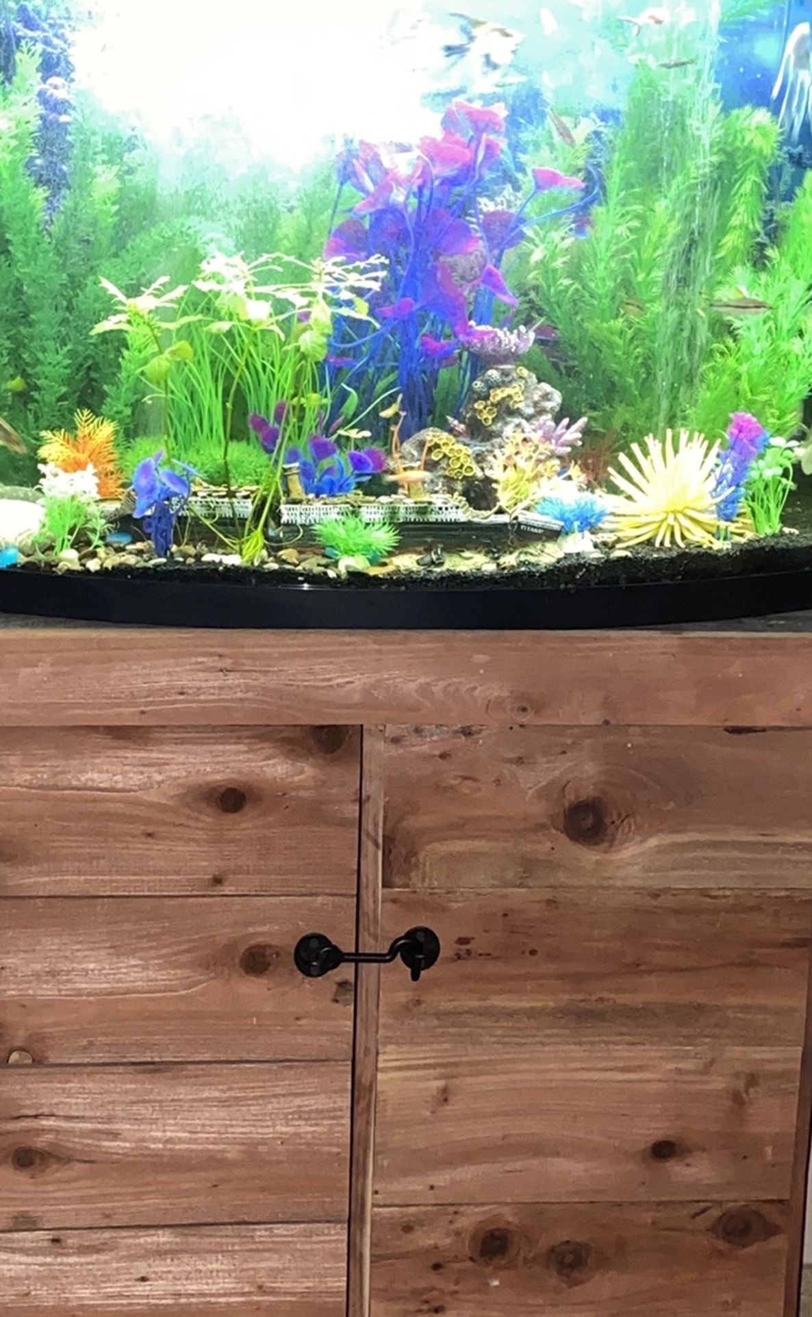 Custom Fish Tanks