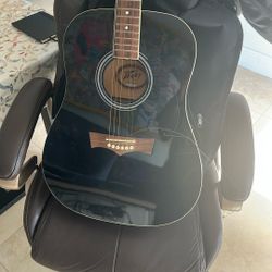 Peavey Acoustic Guitar + Carrying Case Bag
