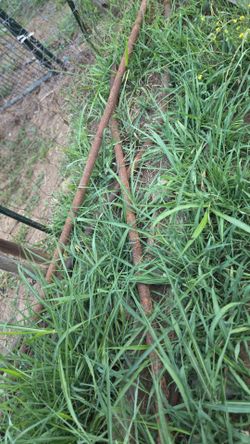 Rusty Steel Rebar Rods