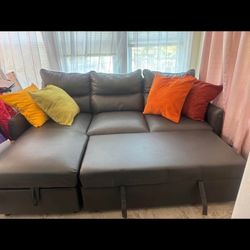 Sectional Couch 