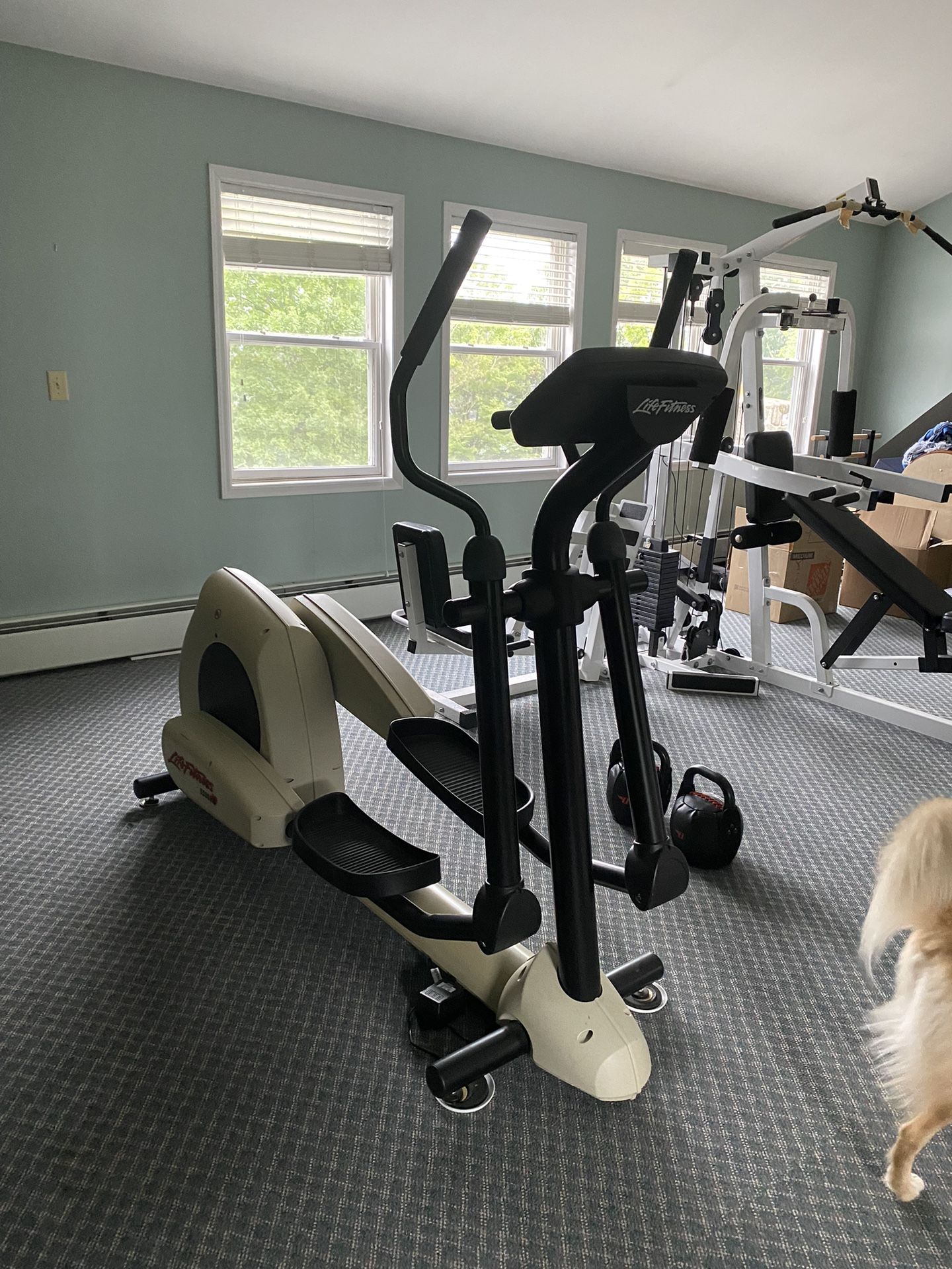 Elliptical Life fitness 5500 NR