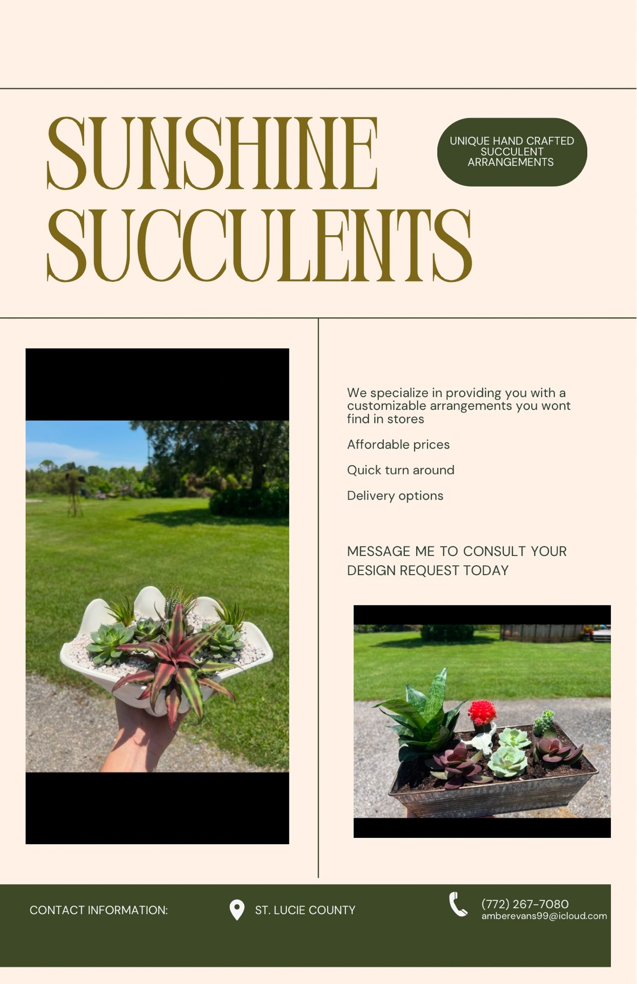 Succulent Arrangements
