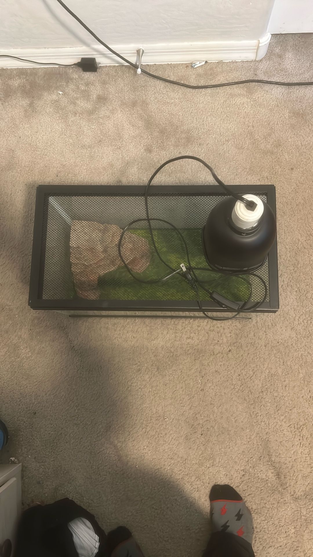 Reptile Tank With A Lamp, Patting, And A Rock Cave