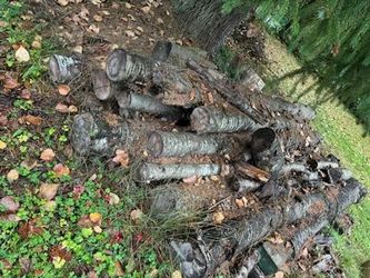 Seasoned Cherry Wood