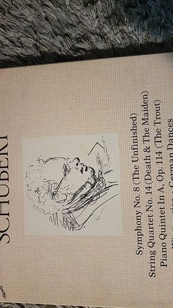 Vinyl records Franz schubert