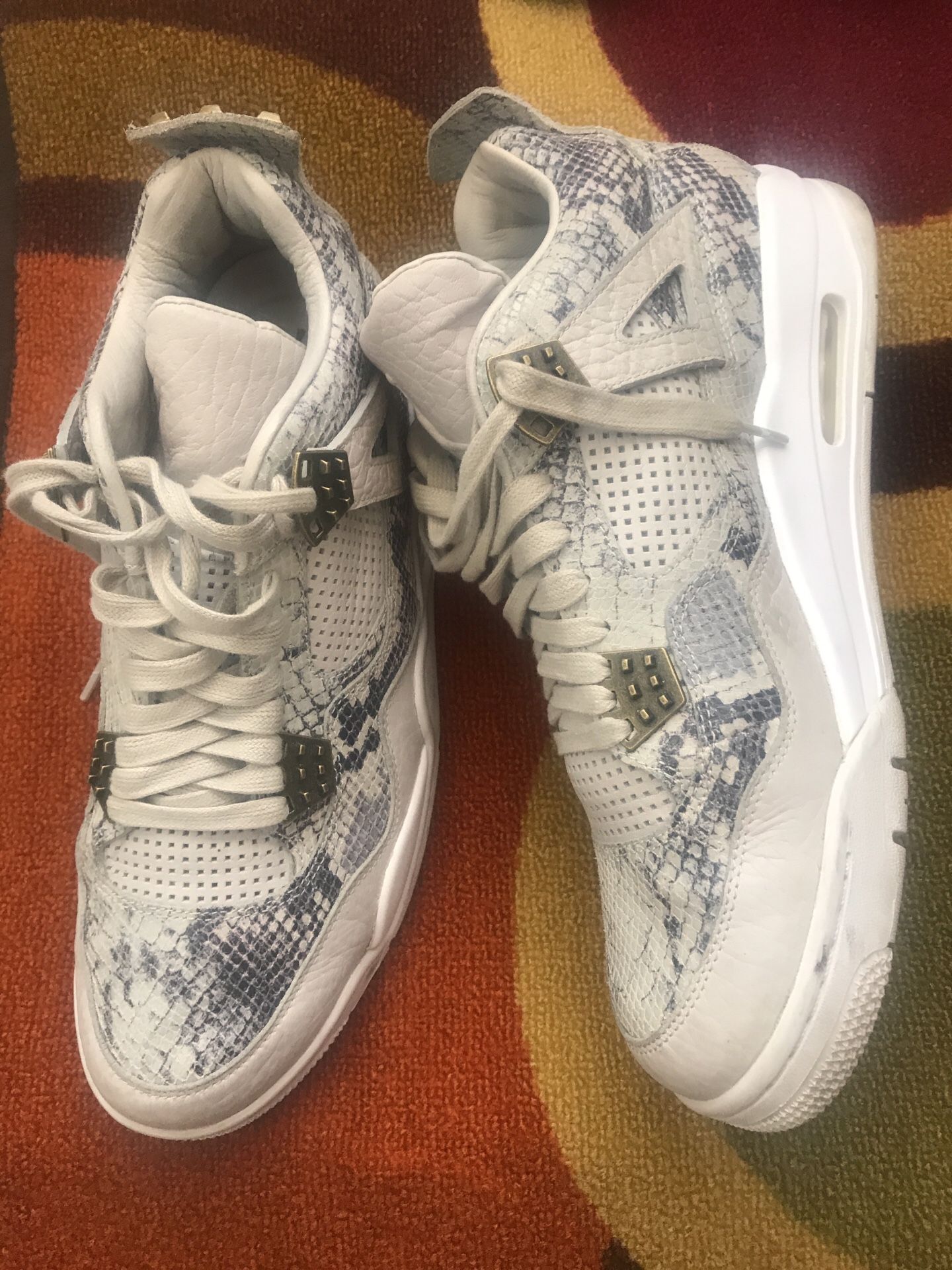 Jordan’s snake skin