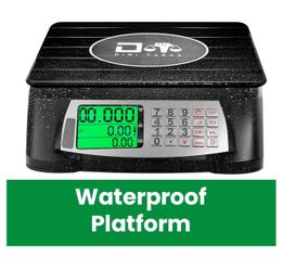 Brand New Digital Scale