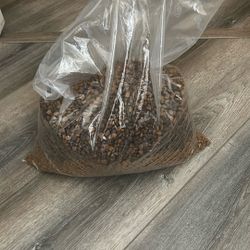 🐈‍⬛ 🐈 *****FREE DRY CAT FOOD*****  