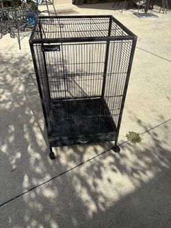 Cat and bird shelter.