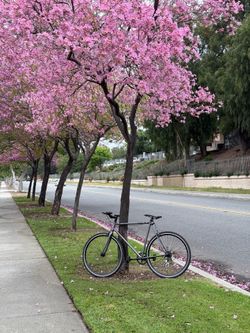 Geared fixie