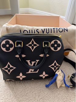 Authentic Louis Vuitton Handbag