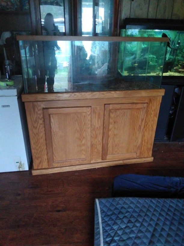 Turtle Tank