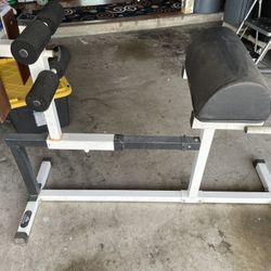 Crunch Bench