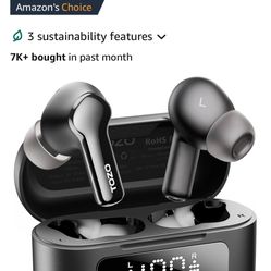 Earbuds