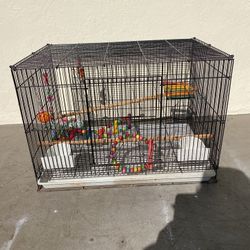 Bird cage 