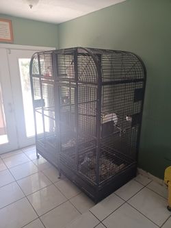 Xl Cage