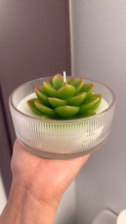 Succulent Candle